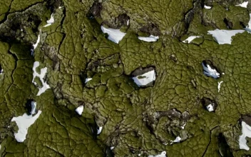 Stock Video Frozen Lava Fields For PC
