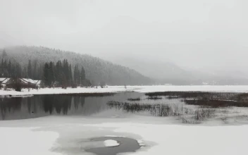 Stock Video Frozen Lake In Cold Weather And Snow For PC