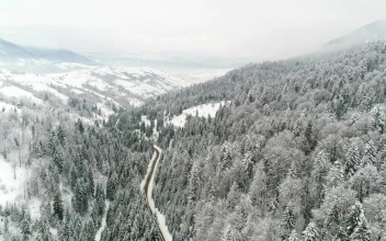Stock Video Frozen Forest With A Road On A Frosty Day For PC