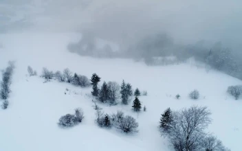 Stock Video Frozen Foggy Landscape High View For PC