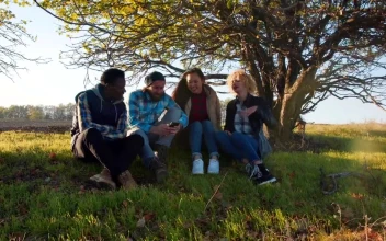 Stock Video Friends Watching The Phone In The Countryside For PC