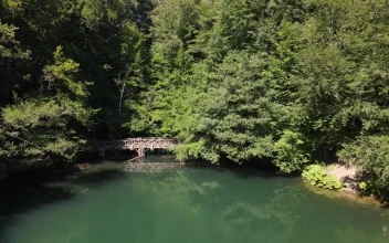 Stock Video Lake In A National Park In A Sunny Day Animated Wallpaper