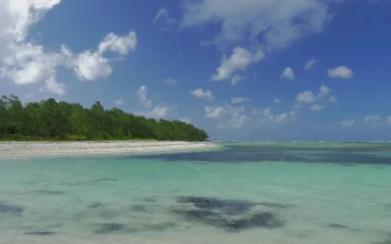 Stock Video Lagoon With Crystal Clear Water Animated Wallpaper
