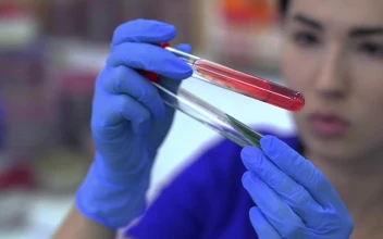 Stock Video Laboratory Worker Looking At A Test Tube Animated Wallpaper