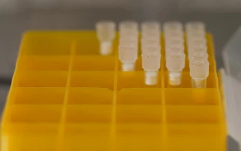 Stock Video Laboratory Sample Tray Animated Wallpaper