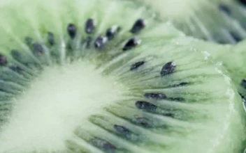 Stock Video Kiwi Slices Viewed In Detail Animated Wallpaper