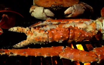 Stock Video King Crab Cooked Over Coals Animated Wallpaper