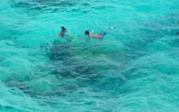 Stock Video Kids Snorkeling In Tropical Waters Animated Wallpaper