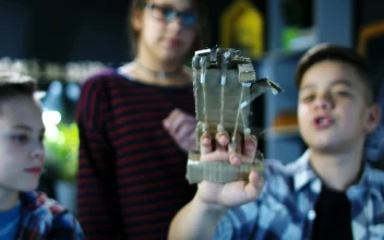 Stock Video Kids Playing With Robotic Cardboard Arm Animated Wallpaper