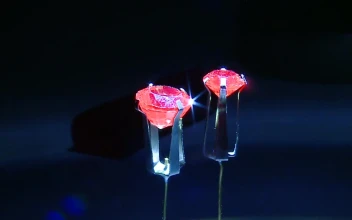 Stock Video Jewels With Red Stones Animated Wallpaper