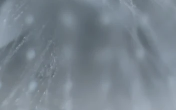 Stock Video Jets Of Water Falling From The Shower Animated Wallpaper