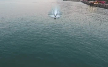 Stock Video Jet Ski Crossing The Lake At High Speed Animated Wallpaper
