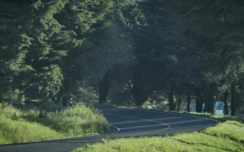 Stock Video Jeep In The Road Between Nature Animated Wallpaper