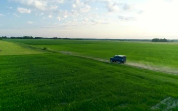 Stock Video Jeep Driving Off Road On A Green Field Animated Wallpaper