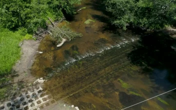 Stock Video Jeep Car Crossing The River In The Wilderness Animated Wallpaper