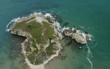 Stock Video Island At The Edge Of The Beach Animated Wallpaper