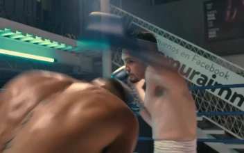 Stock Video Intense Semi Pro Boxing Match Animated Wallpaper
