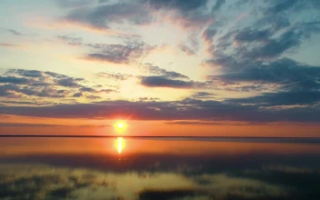 Stock Video Intense Sunset Reflected In The Sea Animated Wallpaper