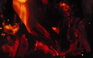 Stock Video Intense Fire Burning Coal Animated Wallpaper