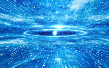 Stock Video Information Network In A Virtual World Animated Wallpaper