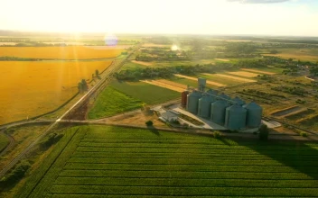 Stock Video Industrial Storage And Agricultural Fields Animated Wallpaper