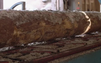 Stock Video Industrial Saw Cutting Through Wood Animated Wallpaper