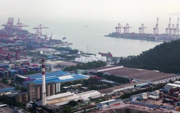 Stock Video Industrial Landscape Of Trading Port In Shenzhen Animated Wallpaper