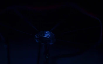 Stock Video Incandescent Bulb Slowly Turning On And Off Animated Wallpaper