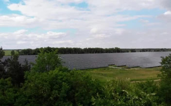 Stock Video Immense Field Of Solar Panels Aerial View Animated Wallpaper