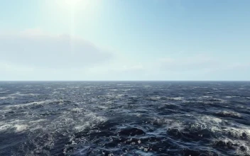 Stock Video Immense D Sea Gently Rippling Under The Sun Animated Wallpaper