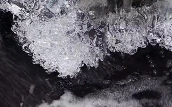 Stock Video Icy Winter Water From A River In A Forest Closeup Animated Wallpaper