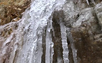 Stock Video Icicles Dripping Water On A Cave Animated Wallpaper
