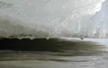 Stock Video Ice Thawing On A River Animated Wallpaper
