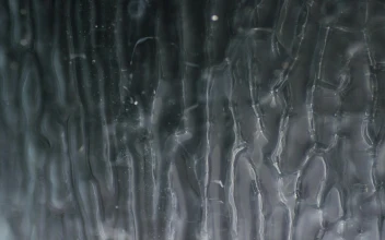 Stock Video Ice Like Motion Background Animated Wallpaper