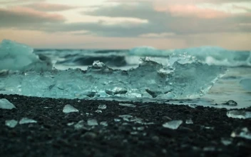 Stock Video Ice Between Breaking Waves Animated Wallpaper