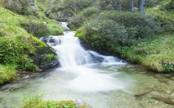 Stock Video Hyperlapse Of A Stream In The Woods Animated Wallpaper