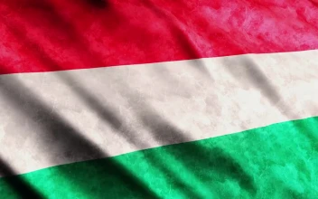Stock Video Hungary D Render Flag Animated Wallpaper