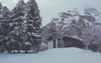 Stock Video Houses In A Forest During Winter Animated Wallpaper