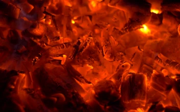 Stock Video Hot Coals For Cooking Animated Wallpaper