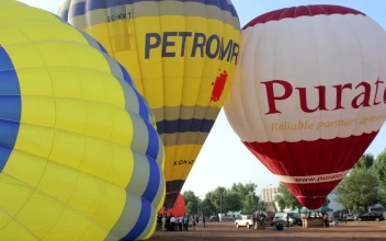 Stock Video Hot Air Balloons Getting Ready To Take Off Animated Wallpaper