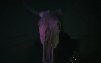 Stock Video Hooded Person Approaching With His Hands A Skull Of A Animated Wallpaper