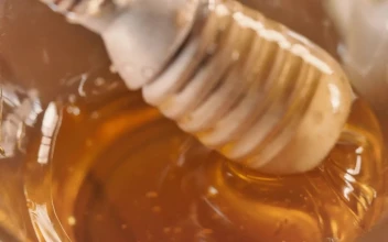 Stock Video Honey Dipper Coming Out Of A Glass Vase With Honey Animated Wallpaper