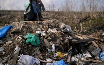 Stock Video Homeless Man Standing On A Pile Of Rubbish Animated Wallpaper