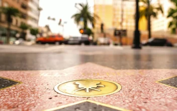 Stock Video Hollywood Walk Of Fame Sidewalk Star Timelapse Animated Wallpaper