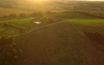 Stock Video Holiday House In The Middle Of The Field Aerial View Animated Wallpaper