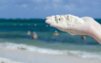 Stock Video Holding Up White Sand Animated Wallpaper