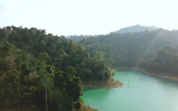 Stock Video Hills With Trees On A Turquoise Lake Animated Wallpaper