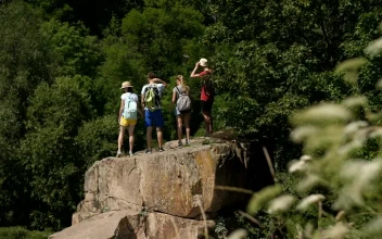 Stock Video Hiking Group Reaching Their Goal Animated Wallpaper