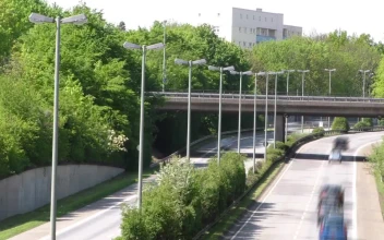 Stock Video Highway With Many Cars On A Sunny Day Animated Wallpaper