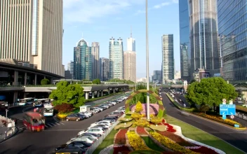 Stock Video Highway In A Big City Of Big Buildings Animated Wallpaper
